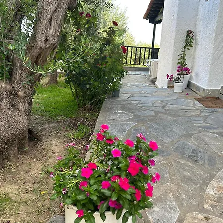 House Beachfront Chalkidiki 公寓