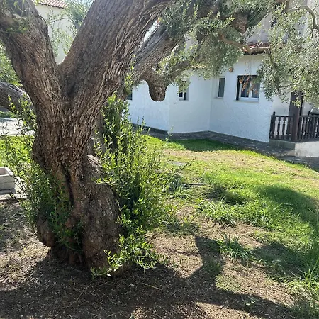 House Beachfront Chalkidiki