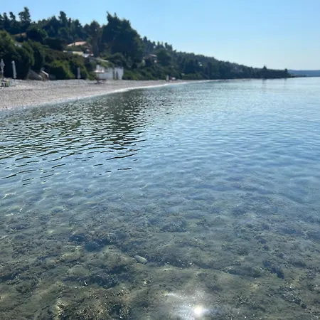 公寓 House Beachfront Chalkidiki
