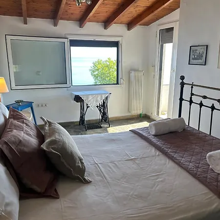公寓 House Beachfront Chalkidiki