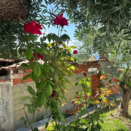 House Beachfront Chalkidiki *